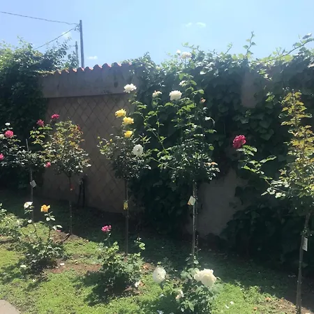 Villa Con Piscina Scott Del Bernese