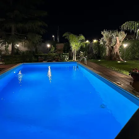 Con Piscina Scott Del Bernese Nicolosi